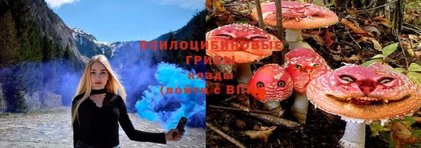 стафф Балабаново